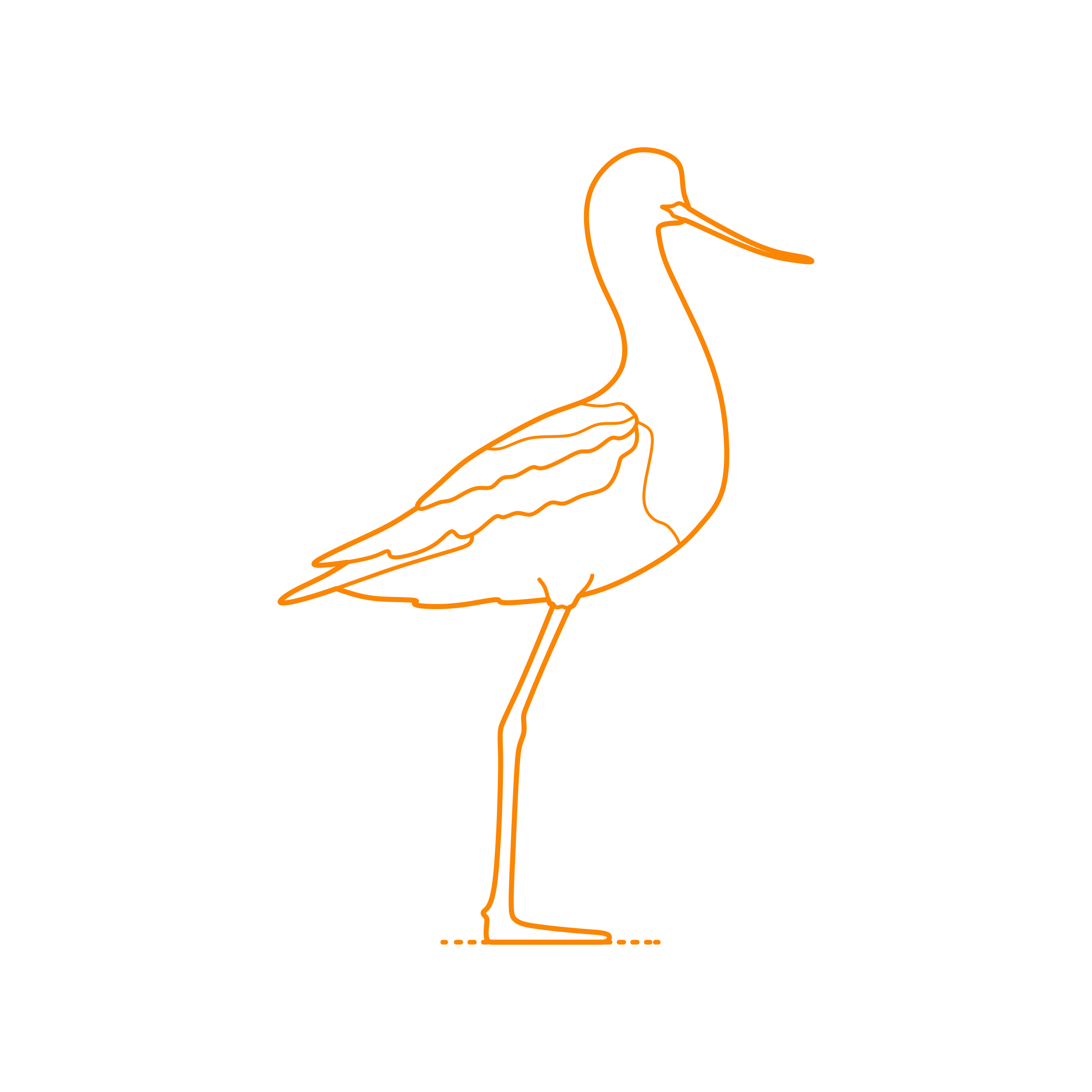 Animals Shorebirds American Avocet Sketch Svg Vector Free Vectors
